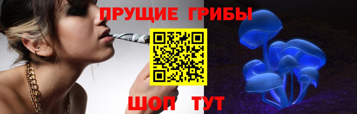 Галлюциногенные грибы GOLDEN TEACHER Удомля